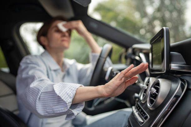 Best Thermostats and Smart Controls in Belle, WV